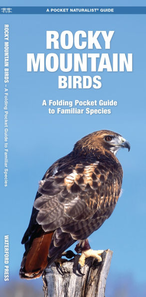 Rocky Mountain Birds: A Folding Pocket Guide to Familiar Species