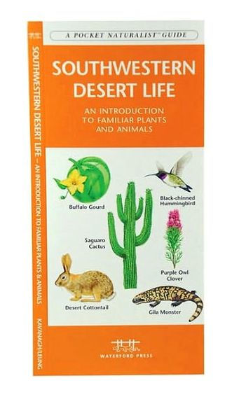 Southwest Desert Life: A Folding Pocket Guide to Familiar Plants & Animals