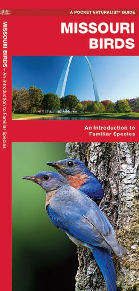 Missouri Birds: A Folding Pocket Guide to Familiar Species