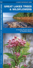 Great Lakes Trees & Wildflowers: A Folding Pocket Guide to Familiar Plants