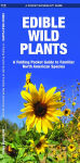 Alternative view 1 of Edible Wild Plants: A Folding Pocket Guide to Familiar North American Species