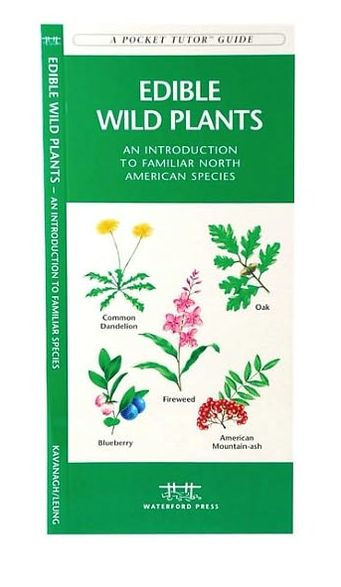 Edible Wild Plants: A Folding Pocket Guide to Familiar North American Species