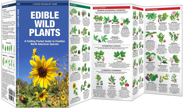 Edible Wild Plants