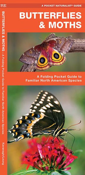Butterflies & Moths: A Folding Pocket Guide to Familiar North American Species