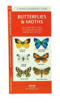 Alternative view 2 of Butterflies & Moths: A Folding Pocket Guide to Familiar North American Species