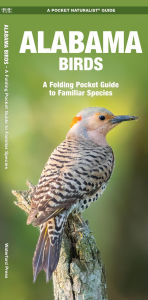 Title: Alabama Birds: A Folding Pocket Guide to Familiar Species, Author: James Kavanagh Waterford Press