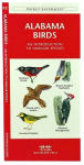 Alternative view 2 of Alabama Birds