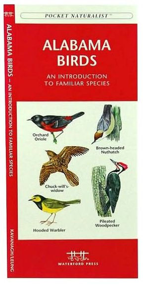 Alabama Birds: A Folding Pocket Guide to Familiar Species