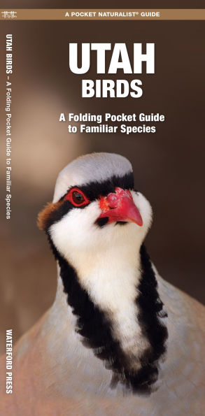 Utah Birds: A Folding Pocket Guide to Familiar Species