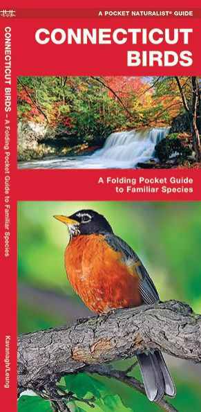 Connecticut Birds: A Folding Pocket Guide to Familiar Species