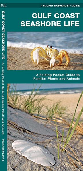 Gulf Coast Seashore Life: A Folding Pocket Guide to Familiar Animals and Plants