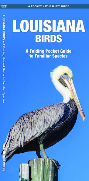 Louisiana Birds: A Folding Pocket Guide to Familiar Species