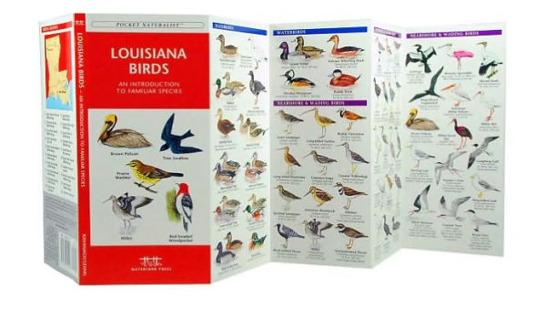 Louisiana Birds: A Folding Pocket Guide to Familiar Species