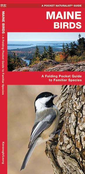 Maine Birds: A Folding Pocket Guide to Familiar Species