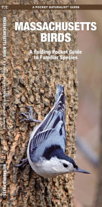 Title: Massachusetts Birds, Author: James Kavanagh Waterford Press