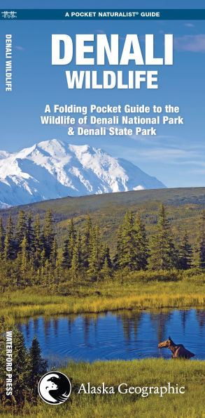 Denali Wildlife
