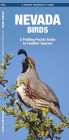 Pocket Naturalist Guide to Nevada Birds