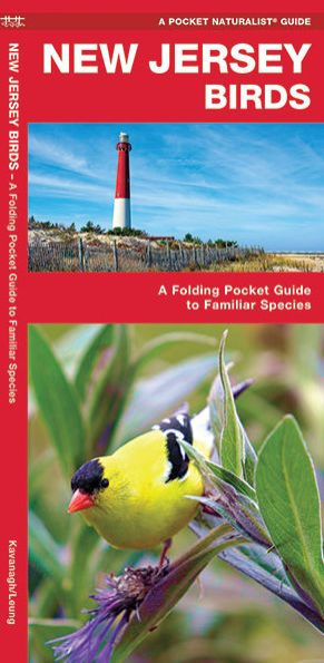 New Jersey Birds: A Folding Pocket Guide to Familiar Species