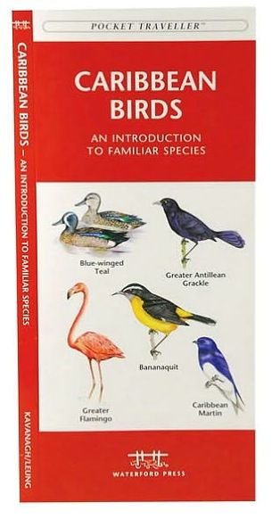 Caribbean Birds: An Introduction to Familiar Species