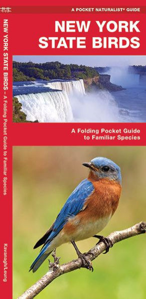 New York State Birds: A Folding Pocket Guide to Familiar Species