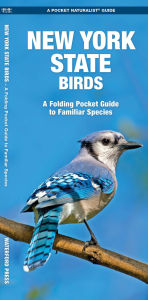 Title: New York State Birds, Author: James Kavanagh Waterford Press