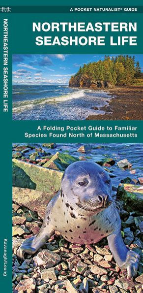 Northeastern Seashore Life: A Folding Pocket Guide to Familiar Species Found North of Massachusetts