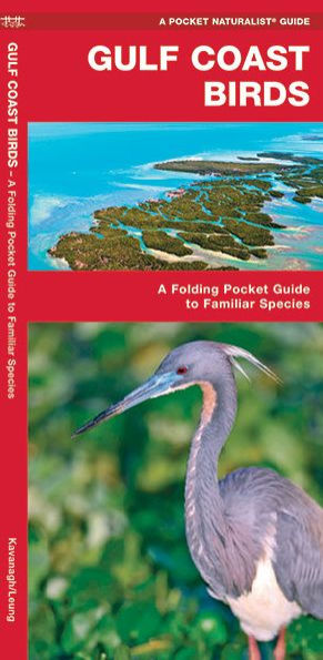 Gulf Coast Birds: An Introduction to Familiar Species