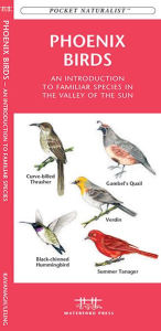 Title: Pocket Naturalist: Phoenix Birds: An Introduction to Familiar Species in Central Arizona, Author: James Kavanagh