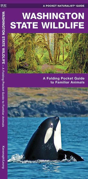 Washington State Wildlife: A Folding Pocket Guide to Familiar Animals