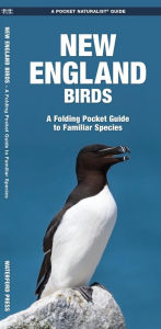 Title: New England Birds: A Folding Pocket Guide to Familiar Species, Author: James Kavanagh