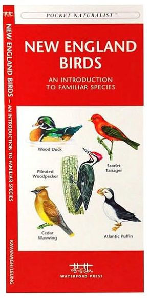 New England Birds: A Folding Pocket Guide to Familiar Species