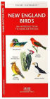 Alternative view 2 of New England Birds: A Folding Pocket Guide to Familiar Species