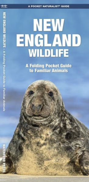 New England Wildlife: A Folding Pocket Guide to Familiar Animals