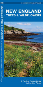 Title: New England Trees & Wildflowers: A Folding Pocket Guide to Familiar Plants, Author: James Kavanagh