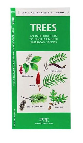 Trees: A Folding Pocket Guide to Familiar North American Plants