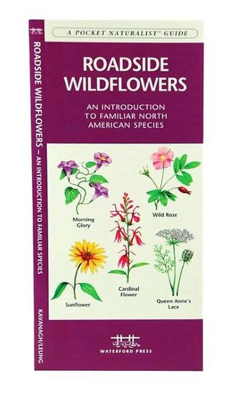 Roadside Wildflowers: A Folding Pocket Guide to Familiar North American Species