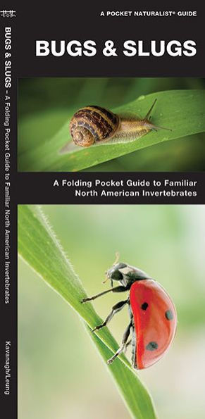 Bugs and Slugs: An Introduction to Familiar North American Invertebrates