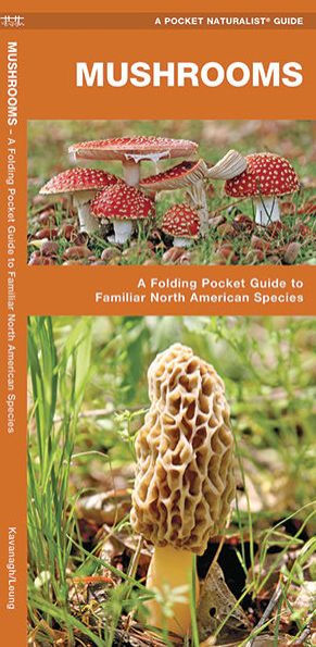 Mushrooms: A Folding Pocket Guide to Familiar North American Species