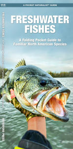 Title: Freshwater Fishes, Author: James Kavanagh Waterford Press