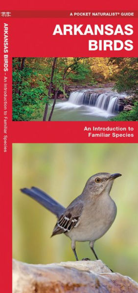 Arkansas Birds: A Folding Pocket Guide to Familiar Species