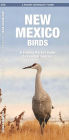 New Mexico Birds: A Folding Pocket Guide to Familiar Species