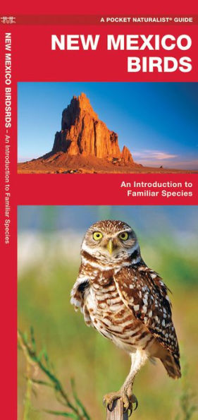 New Mexico Birds: A Folding Pocket Guide to Familiar Species