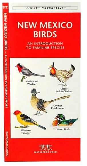 New Mexico Birds: A Folding Pocket Guide to Familiar Species