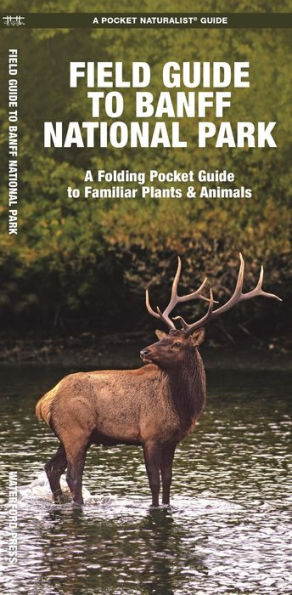 Field Guide to Banff National Park: A Folding Pocket Guide to Familiar Plants & Animals