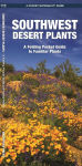 Alternative view 1 of Southwest Desert Plants: A Folding Pocket Guide to Familiar Plants