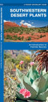 Alternative view 2 of Southwest Desert Plants: A Folding Pocket Guide to Familiar Plants