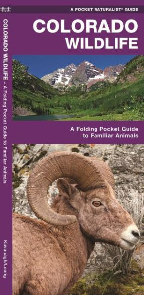 Colorado Wildlife: A Folding Pocket Guide to Familiar Animals