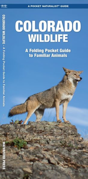 Colorado Wildlife: A Folding Pocket Guide to Familiar Animals