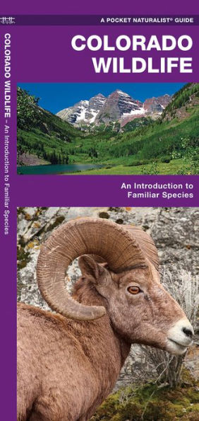 Colorado Wildlife: A Folding Pocket Guide to Familiar Animals