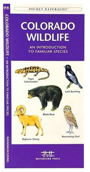 Colorado Wildlife: A Folding Pocket Guide to Familiar Animals